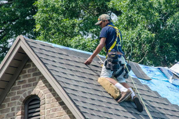 Best Flat Roof Repair Services  in Bolivar, OH
